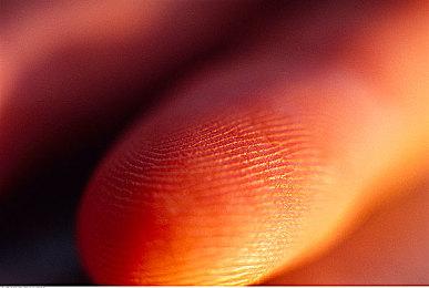 “未来游戏展”6月12日举办 撞车PC游戏秀